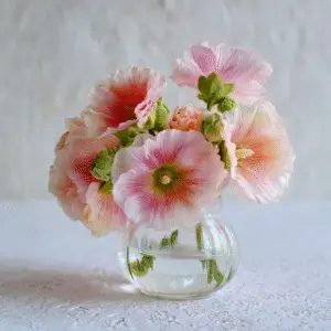 Hollyhock 5