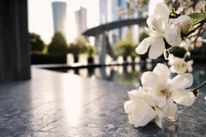 Magnolia