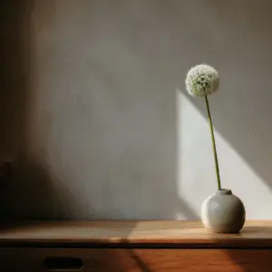 allium 3