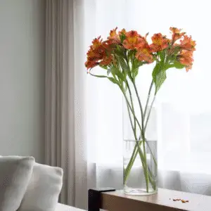 Vibrant orange lilies in clear vase
