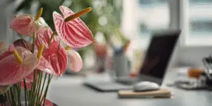 Anthurium (13)