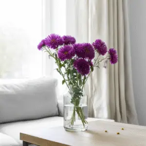 Aster