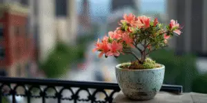 Azalea Flower