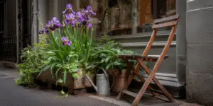 Bearded Iris (19)