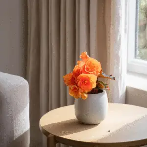 Vibrant orange begonia in pot