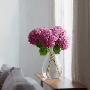 Pink hydrangeas in a clear vase