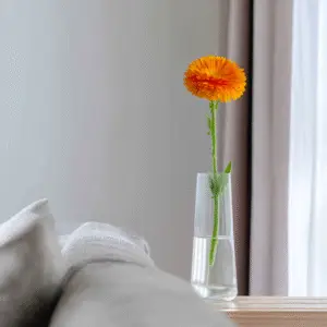 Single orange flower in vase