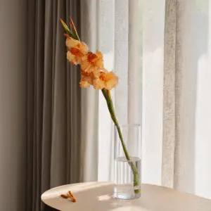 Single orange flower in clear vase