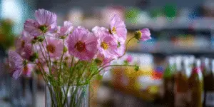 Cosmos (10)