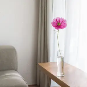 Single pink flower in vase