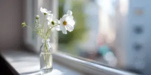 Cosmos Flower