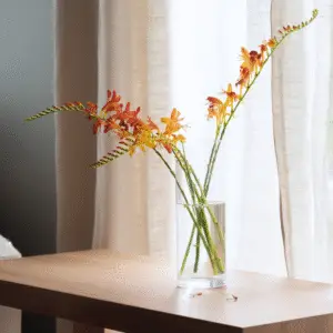 Crocosmia (Crocosmia ‘Emily McKenzie’ and others)