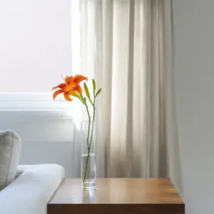 Single orange flower in vase
