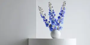 Delphinium elatum Flower