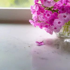 Pink flowers on a marble surface.