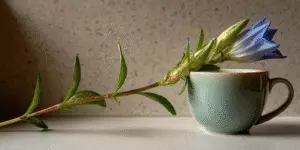 Gentian Flower