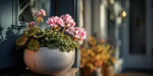 Geranium (25)