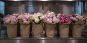 Peonies (6)
