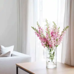 Pink snapdragons in a glass vase