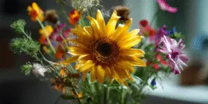 Sunflower (11)