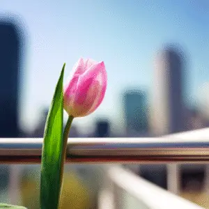 Single pink tulip against blurred skyline