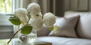 Viburnum (1)