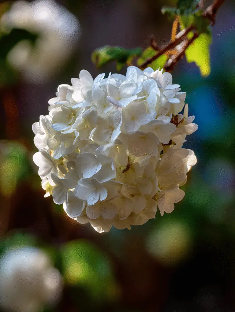 Best flowers to attract butterflies