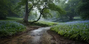 Virginia Bluebells