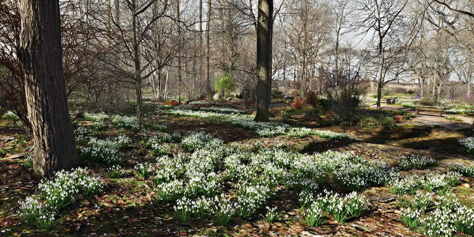 Snowdrop