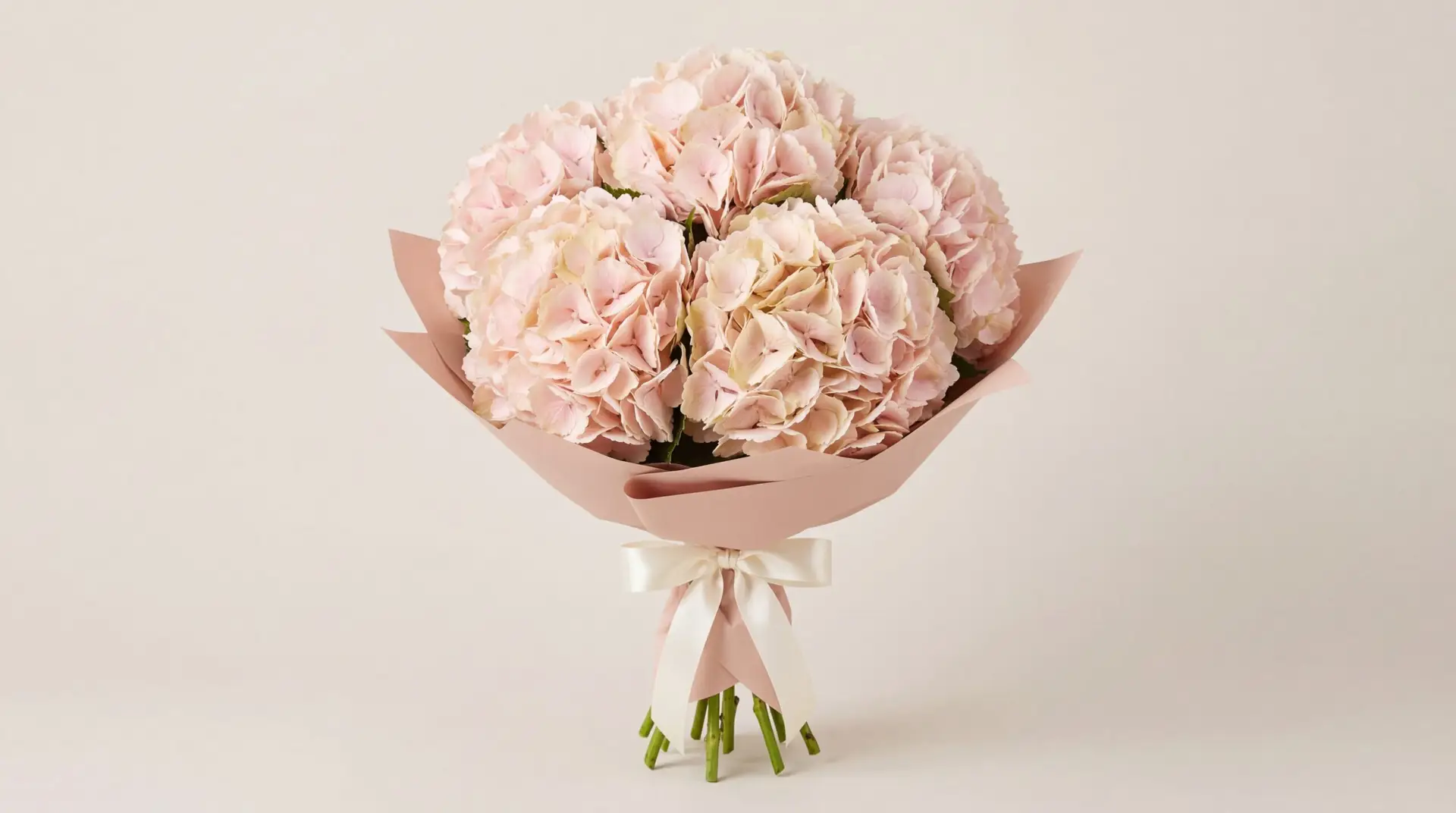 Blush Hydrangea Posy