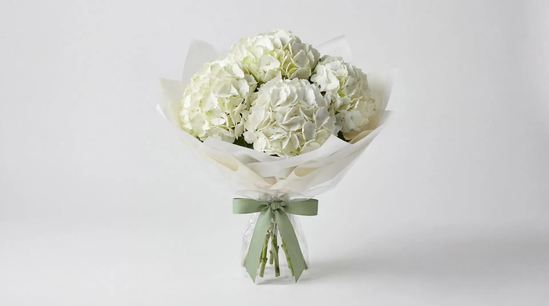 White Hydrangea Modern Bundle