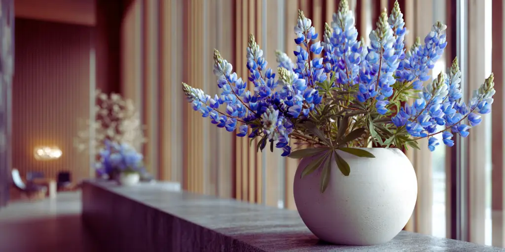 Lupinus texensis
