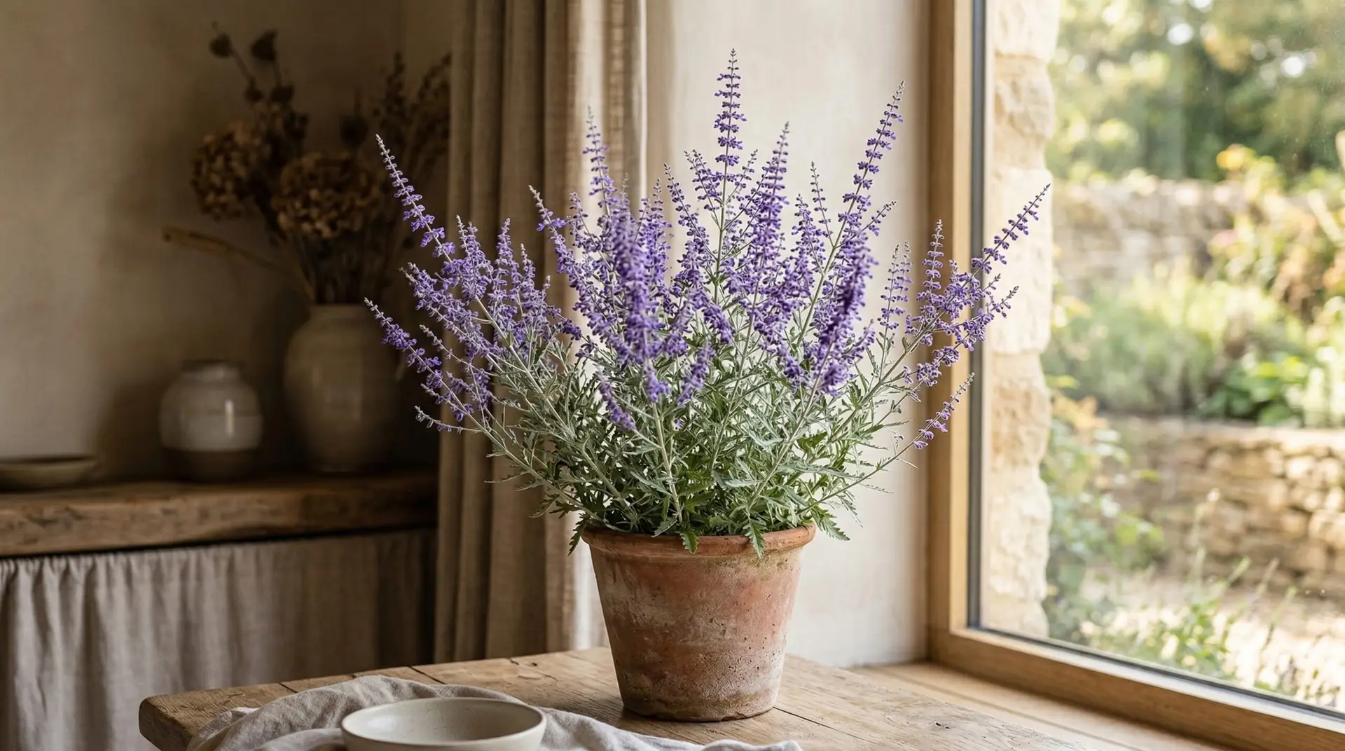 Russian Sage - Russian sage for pollinators and the long bloom season that feeds bees for months