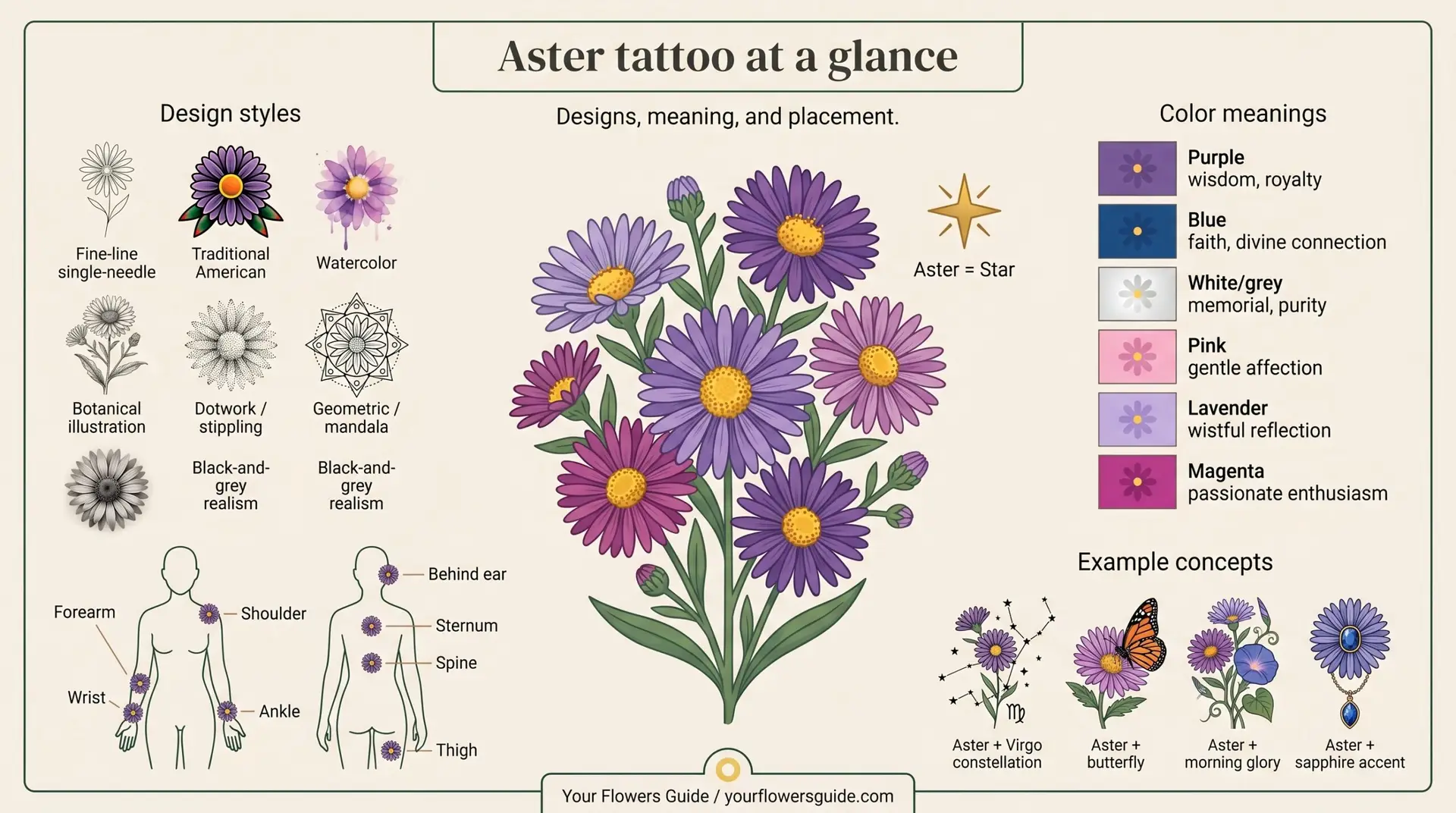 Aster tattoo at a glance infographic showing design styles colors placement and concepts