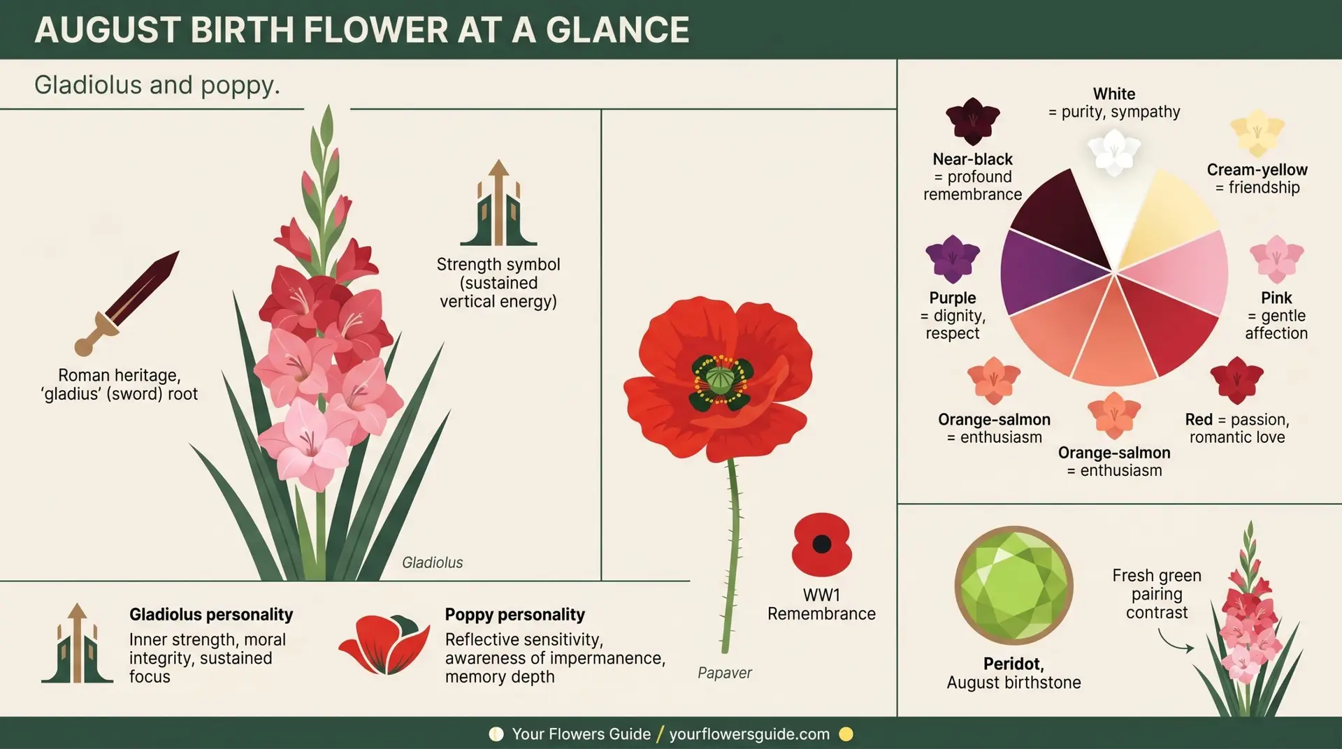 August birth flower at a glance infographic showing gladiolus poppy color wheel and peridot pairing