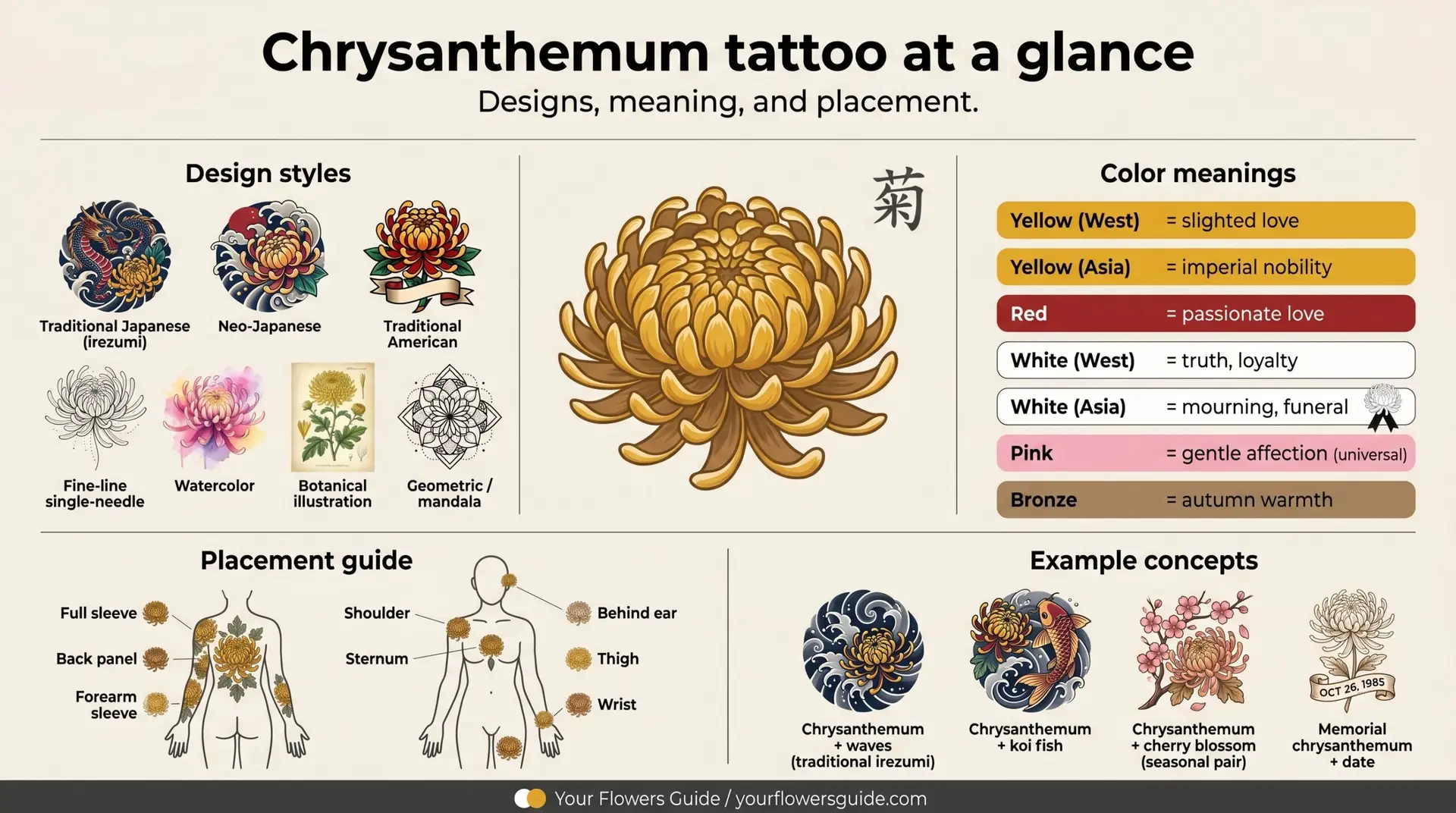Chrysanthemum tattoo at a glance infographic showing design styles colors placement and concepts