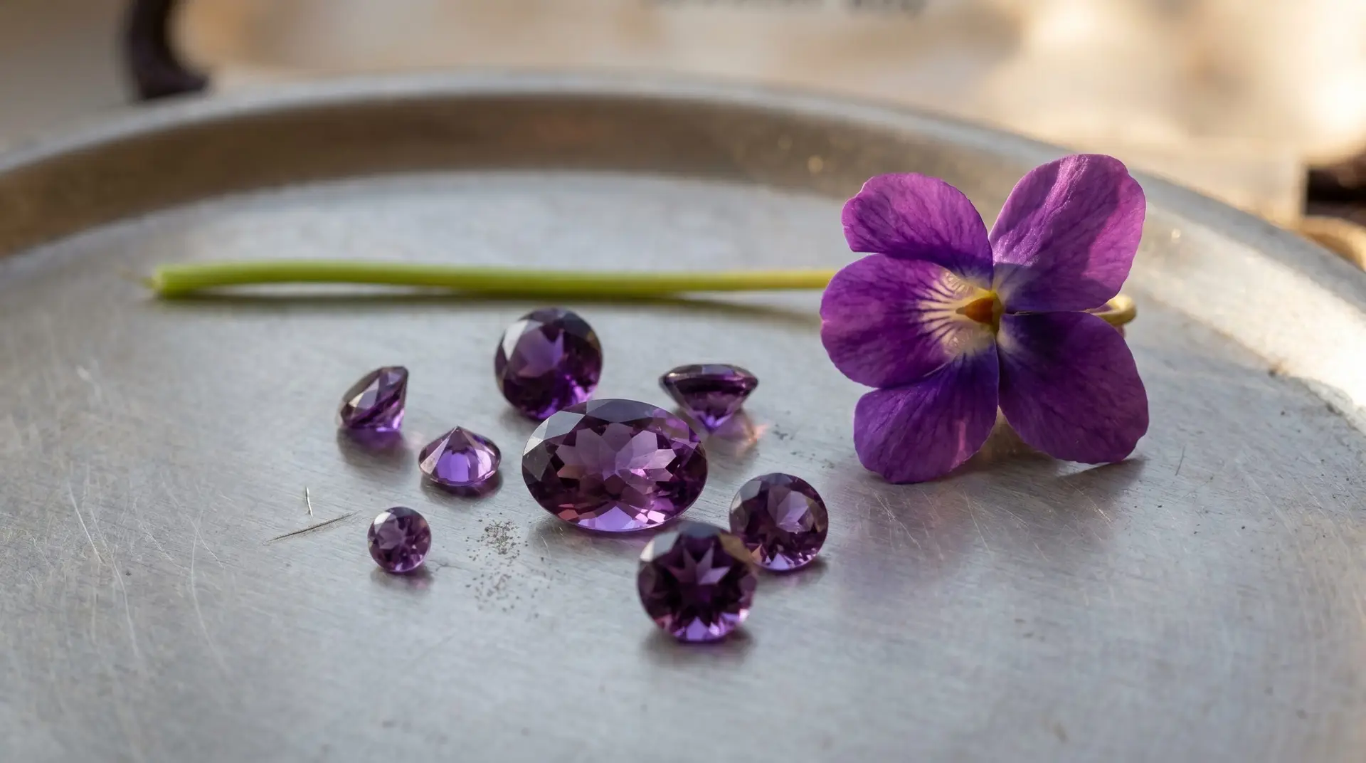 Single sweet violet bloom with scattered loose faceted amethyst stones showing February birth color harmony
