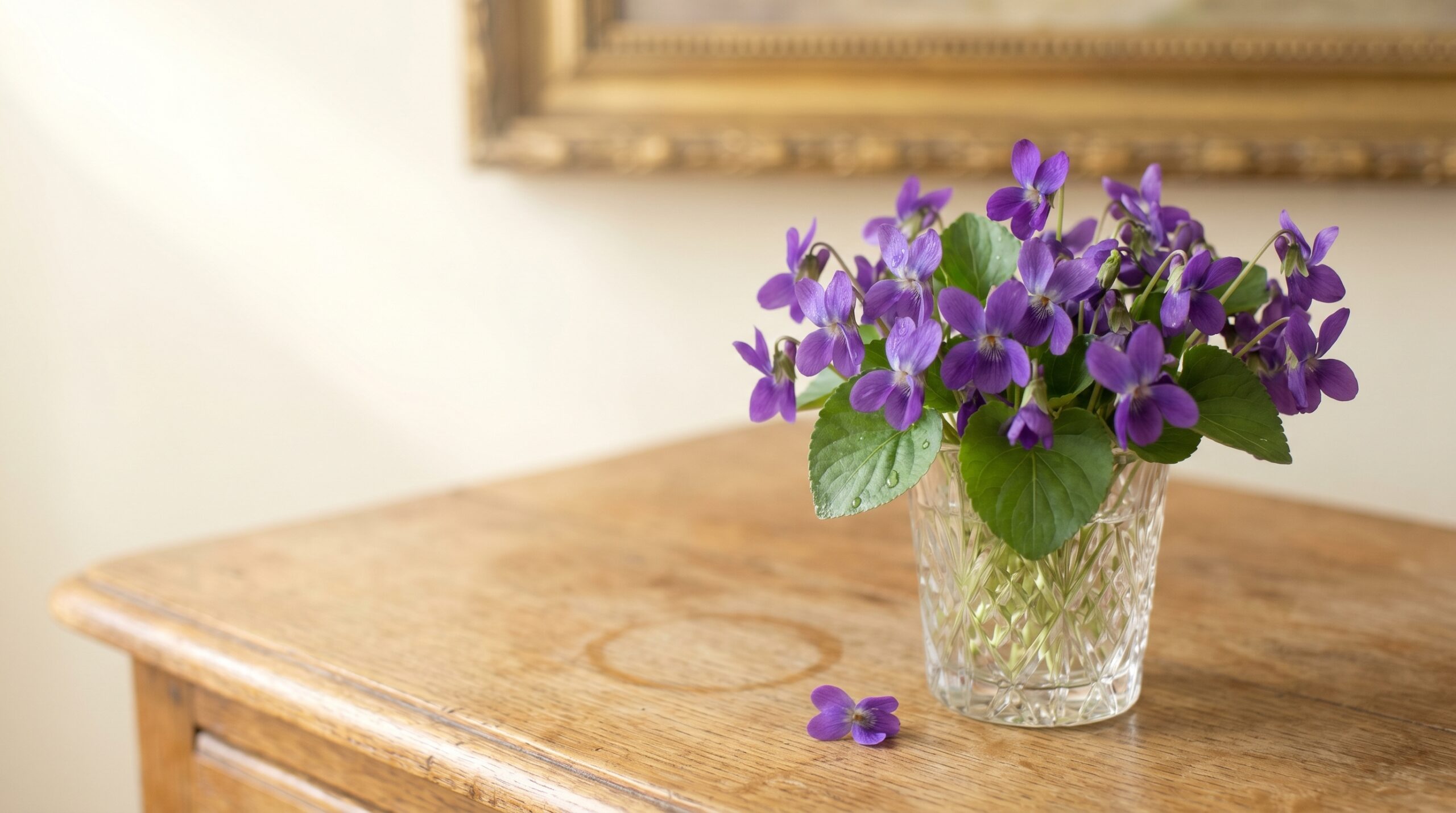 Violet, February birth flower