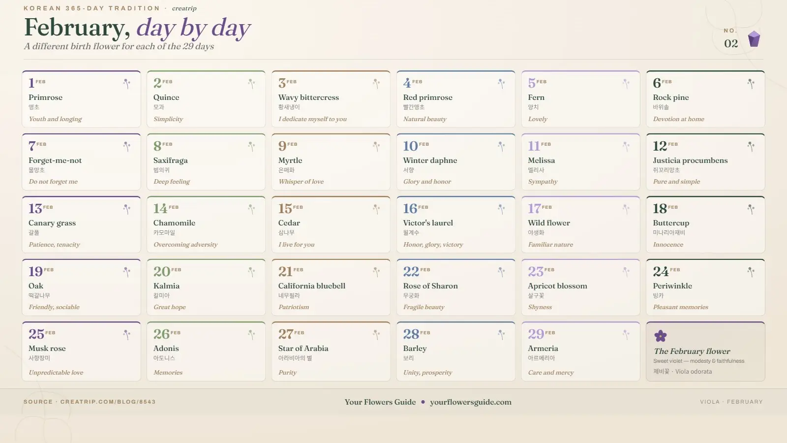 Korean February birth flowers infographic showing all 29 days with assigned flowers, meanings, and themes