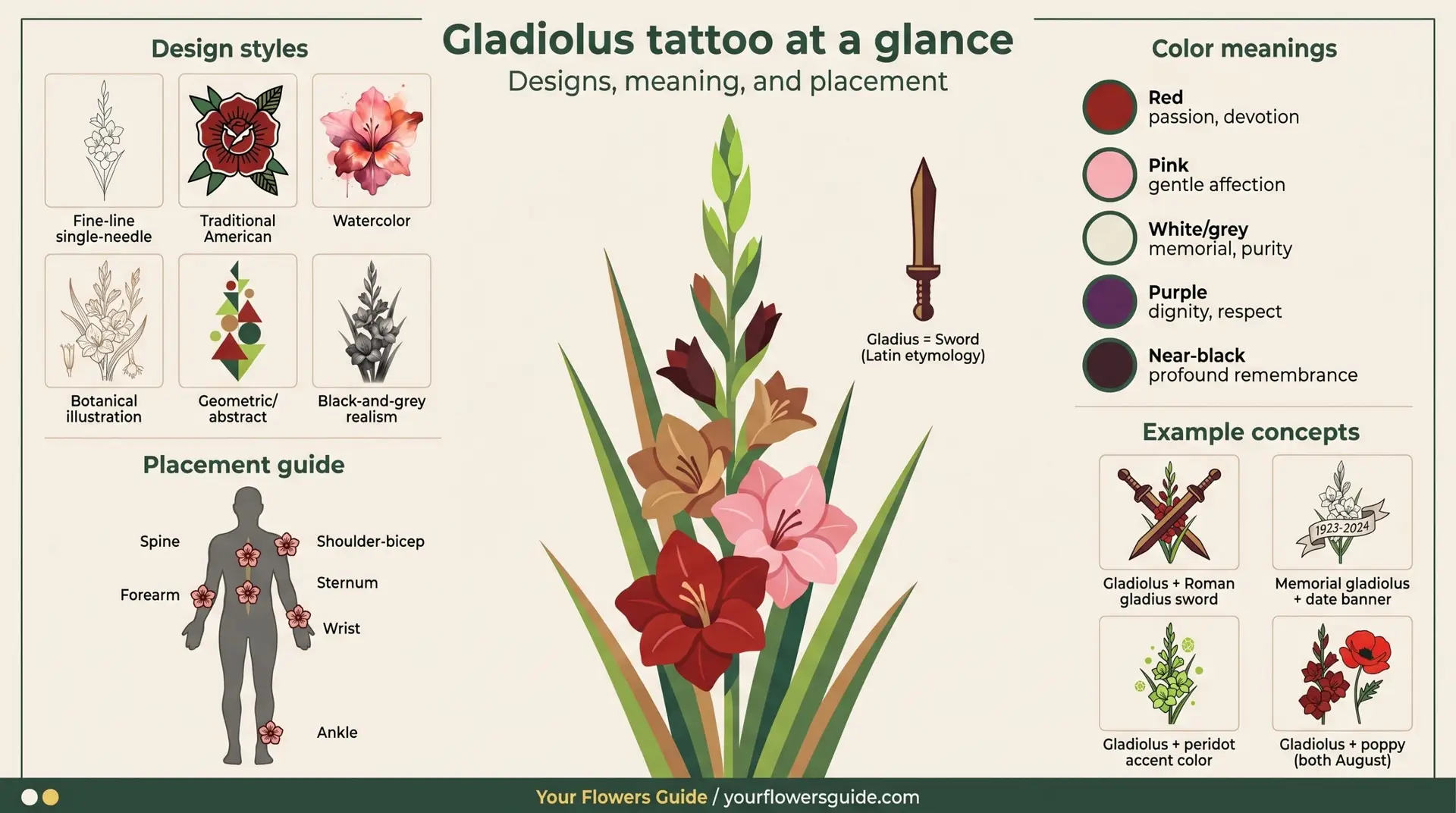 Gladiolus tattoo at a glance infographic showing design styles colors placement and concepts
