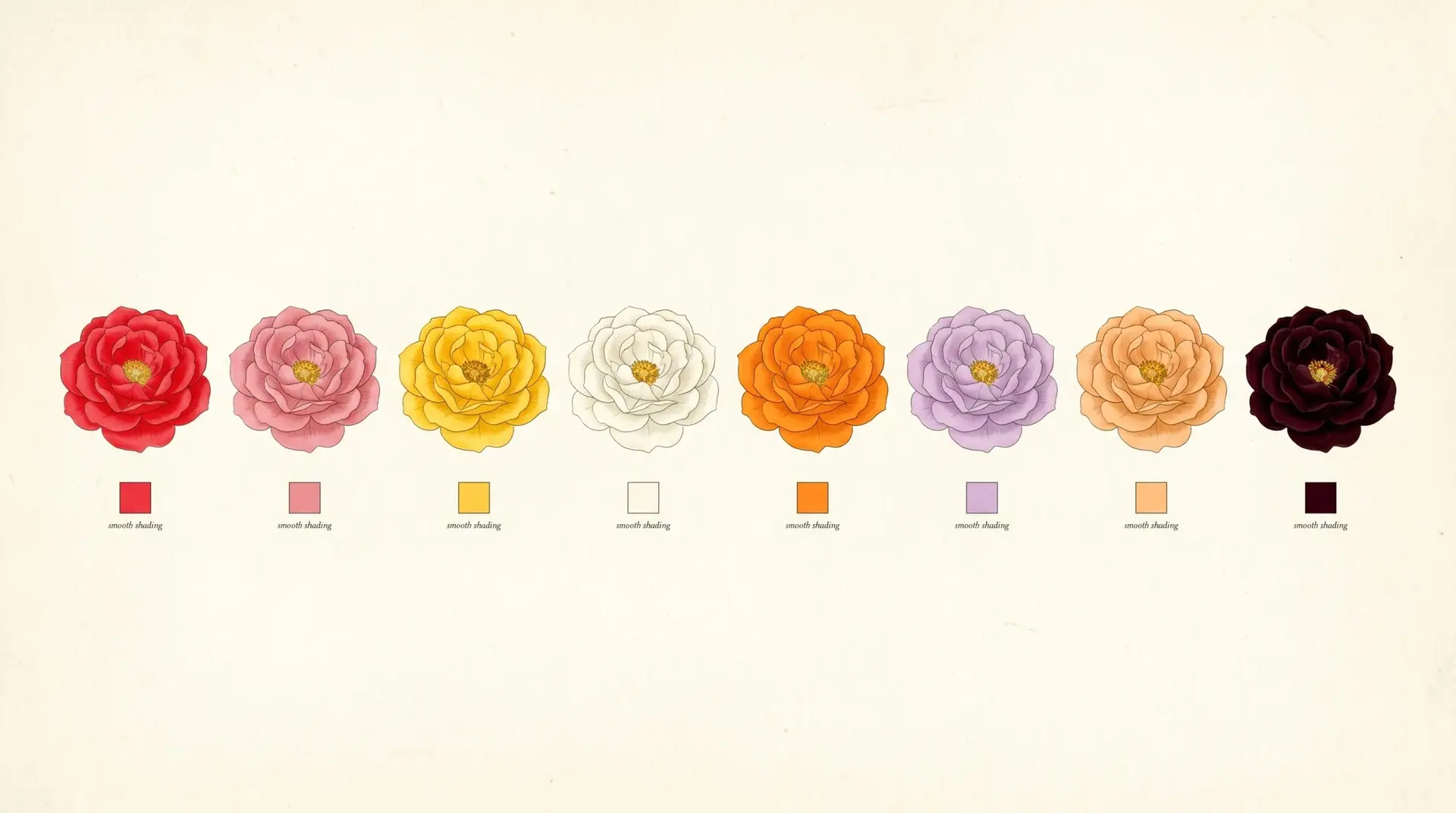 Eight rose colors in botanical illustration: red pink yellow white orange lavender peach and near-black
