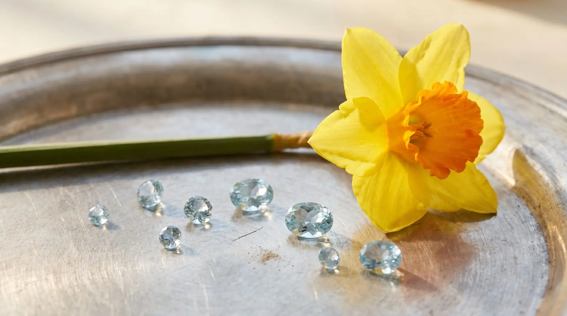 Single yellow daffodil bloom beside scattered loose pale blue aquamarine stones on textured silver surface