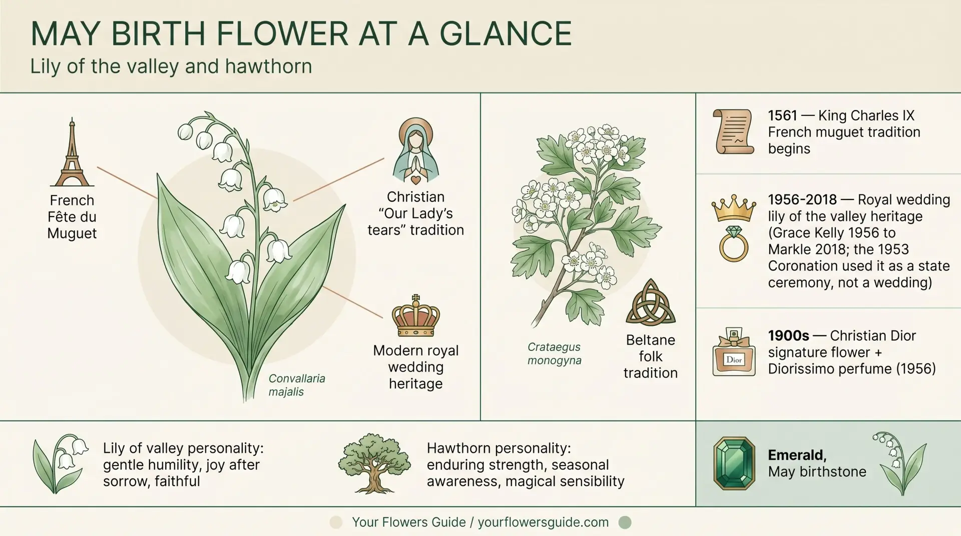 May birth flower at a glance infographic showing lily of valley hawthorn three traditions and emerald