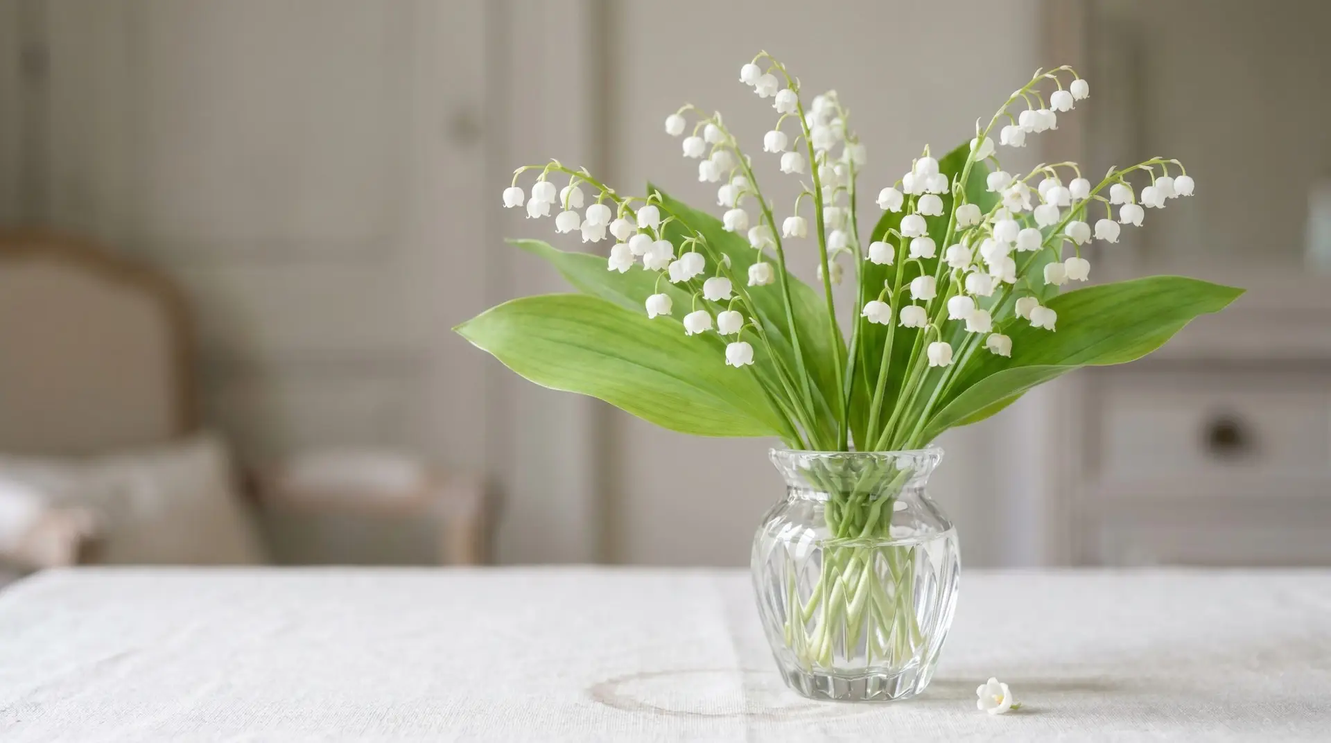 Fresh lily of the valley bouquet in vintage crystal bud vase on cream linen in soft May morning light