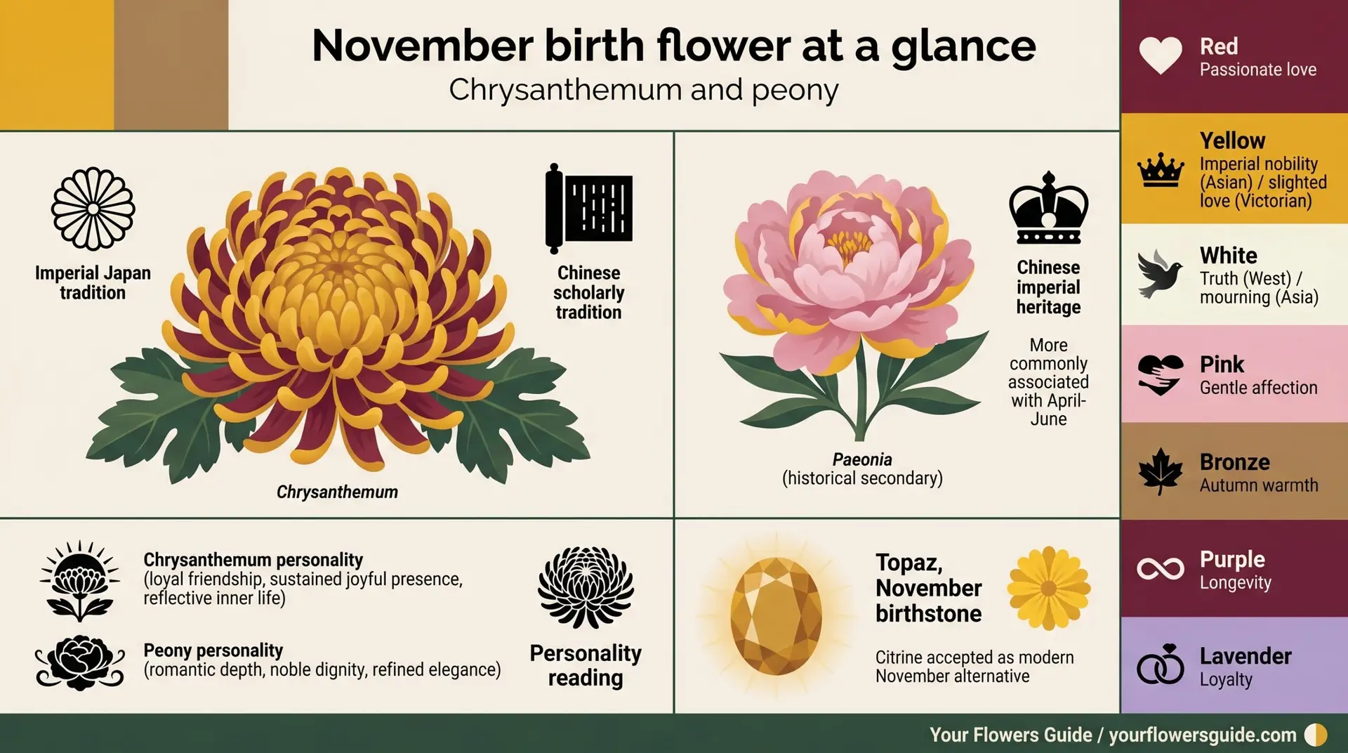 November birth flower at a glance infographic showing chrysanthemum peony color wheel and topaz