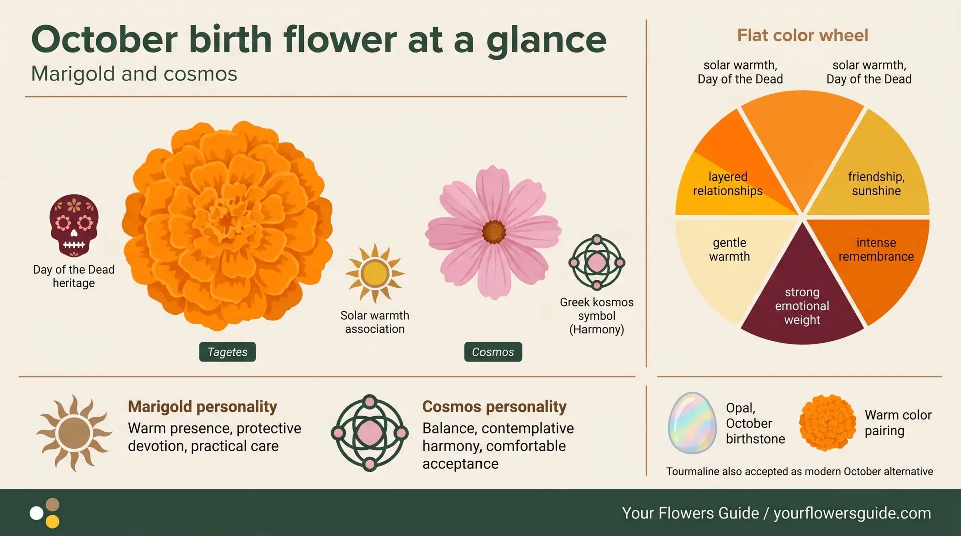 October birth flower at a glance infographic showing marigold cosmos color wheel and opal