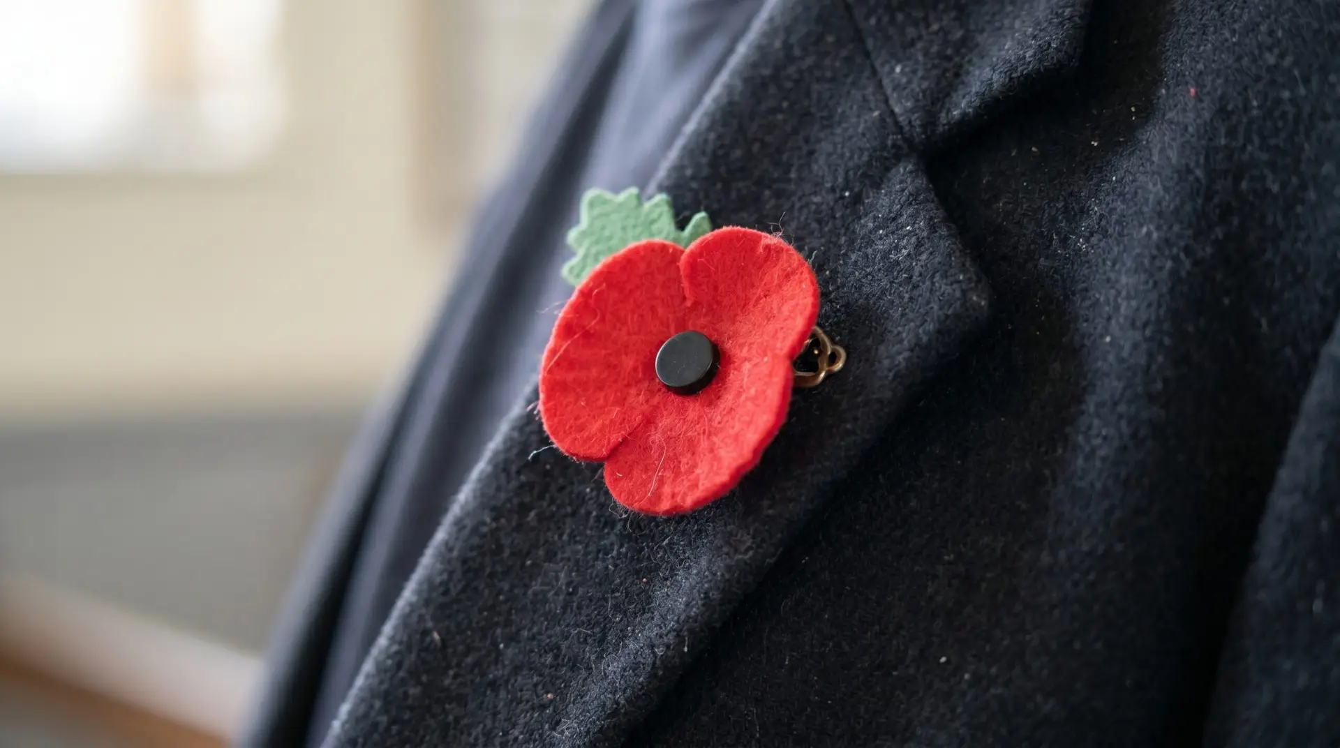 Red remembrance poppy pinned to dark wool lapel in respectful commemorative context