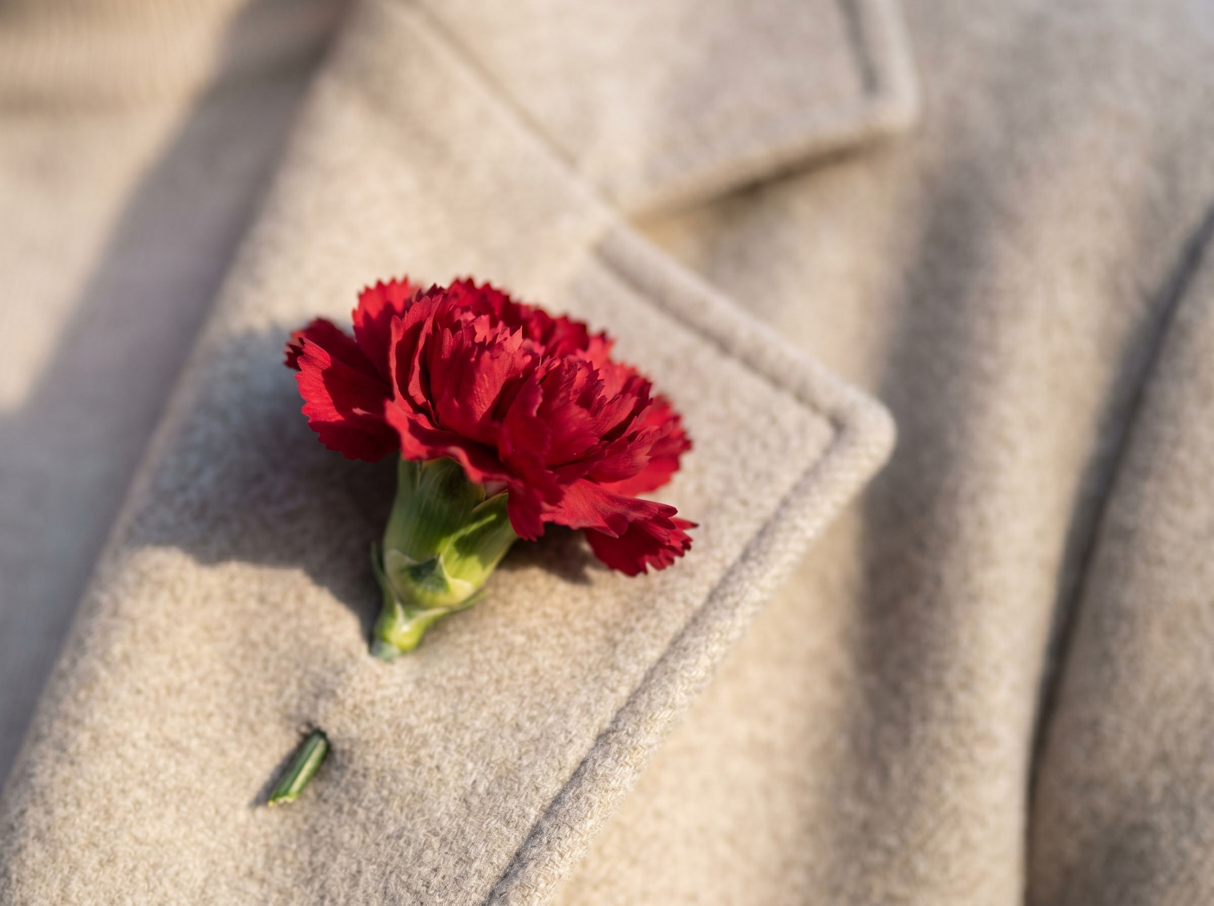 Red carnation pinned to a lapel as worn for Parents' Day, a custom of gratitude to parents