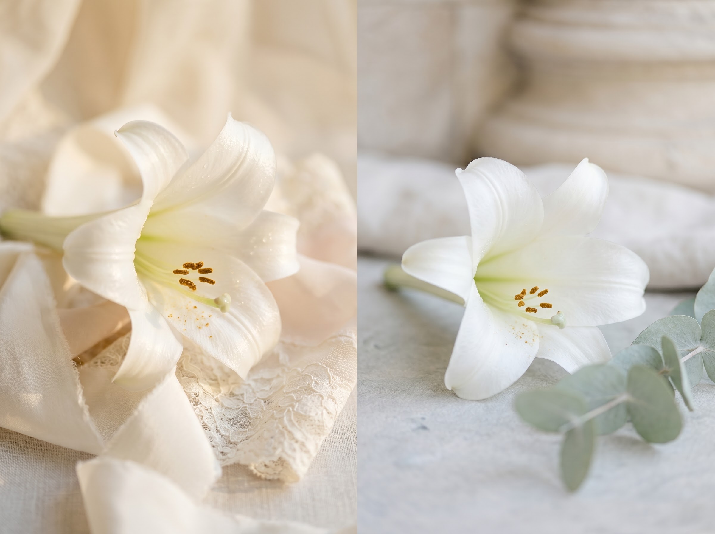 Lily shown as both wedding purity and funeral flower, its split meaning by setting