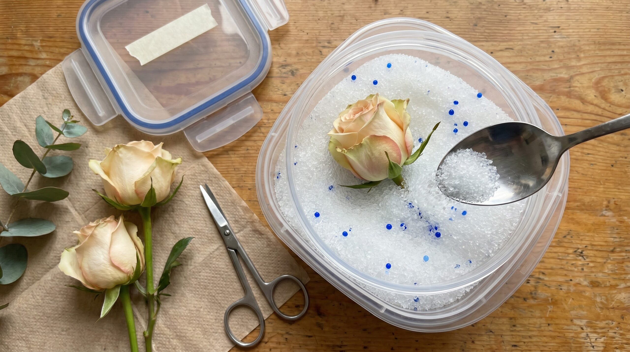 ** Rose head being buried in white silica gel crystals inside airtight container